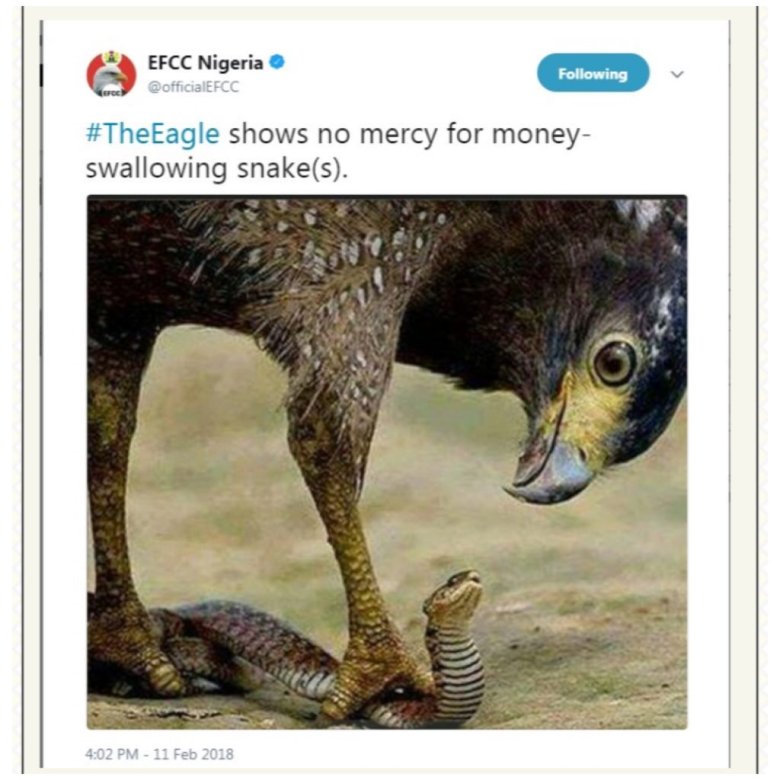 efcc eagle