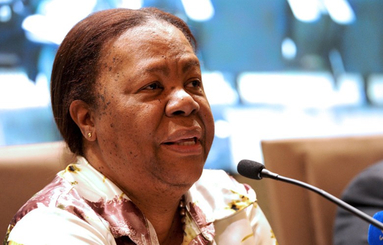 Naledi Pandor 2