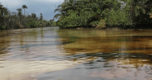 bayelsa-river