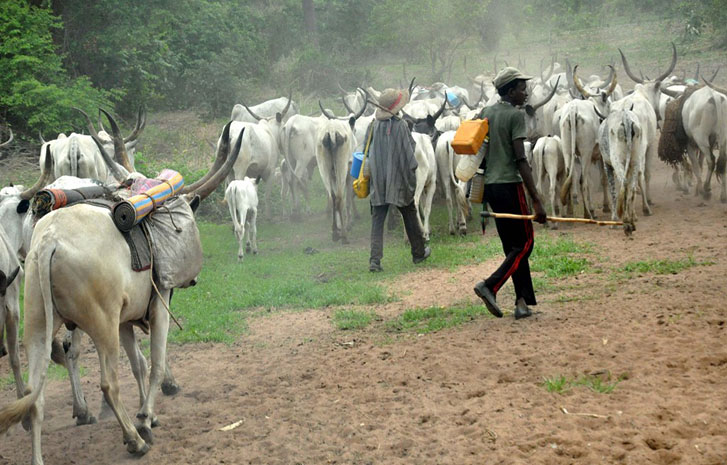 Fulani-herdsmen-1
